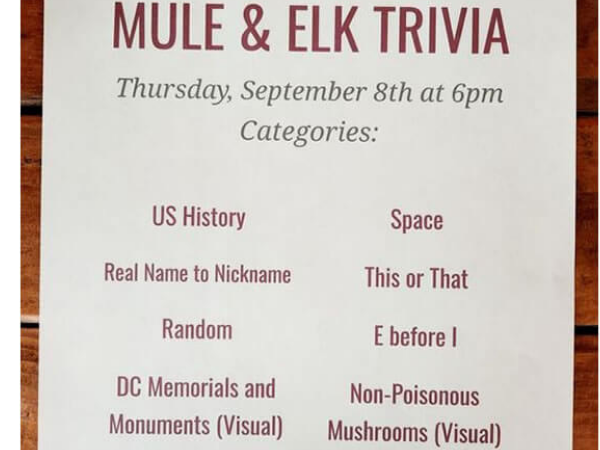 What pairs perfectly with craft beer on a quiet Tuesday night in Cle Elum, WA? Trivia Night, of course!