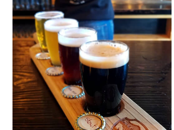 A Mule & Elk beer flight – the perfect way to find your new favorites.