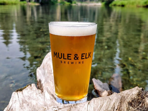 Mule & Elk Brewing Co is the perfect place to relax and refuel after outdoor adventures.