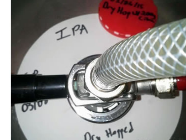 The thrill of tapping another keg of your own beer for thirsty enthusiasts!