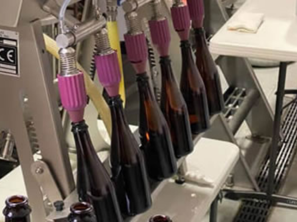 Jellyfish beers are available on tap, in cans, bottles, growlers, and kegs.