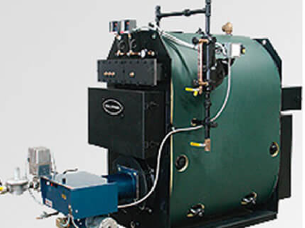 Behind the scenes, their Columbia MPH 30 boiler, similar to this one, produces steam at the perfect temperature for brewing award-winning beer.